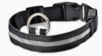 Glowing LED collar - White