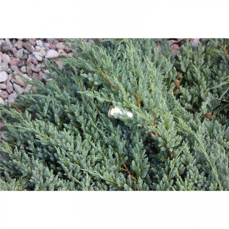 LightsOn Optica trädgårdsspot Aluminium LightsOn Optica trädgårdsspot Aluminium