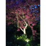 LightsOn Startpaket 2xLuna Transf Kabel LightsOn Startpaket 2xLuna Transf Kabel