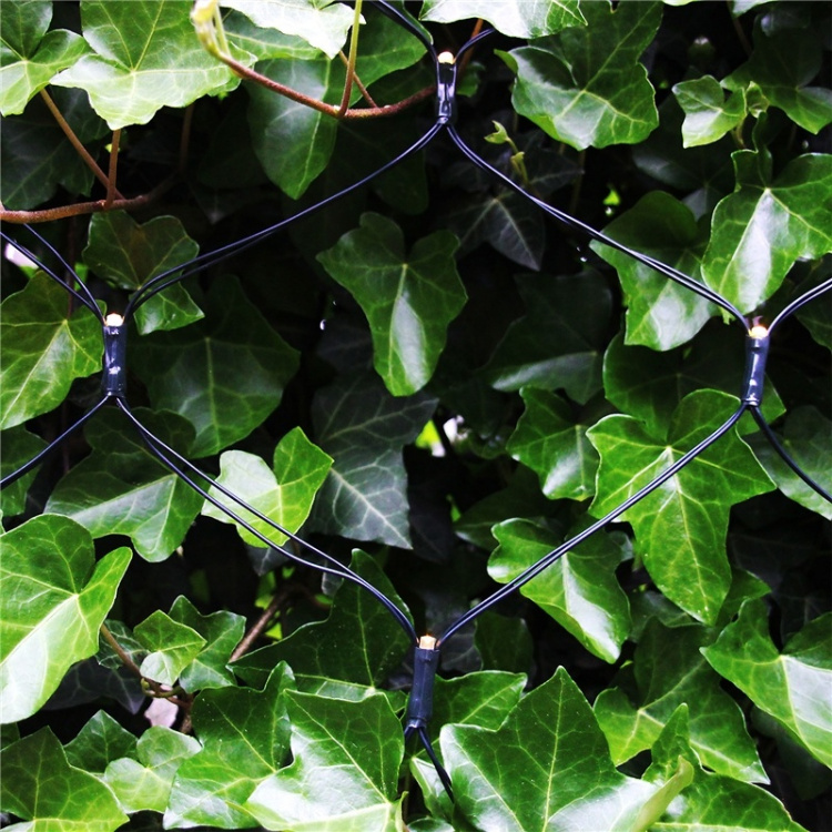 LightsOn Net Ljusnät 2x1,5m med 168 ljuspunkter LightsOn Net Ljusnät 2x1,5m med 168 ljuspunkter