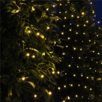 LightsOn Net Ljusnät 2x1,5m med 168 ljuspunkter LightsOn Net Ljusnät 2x1,5m med 168 ljuspunkter