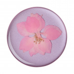 PopSockets PopGrip PREMIUM Pressed Flower Delphinium