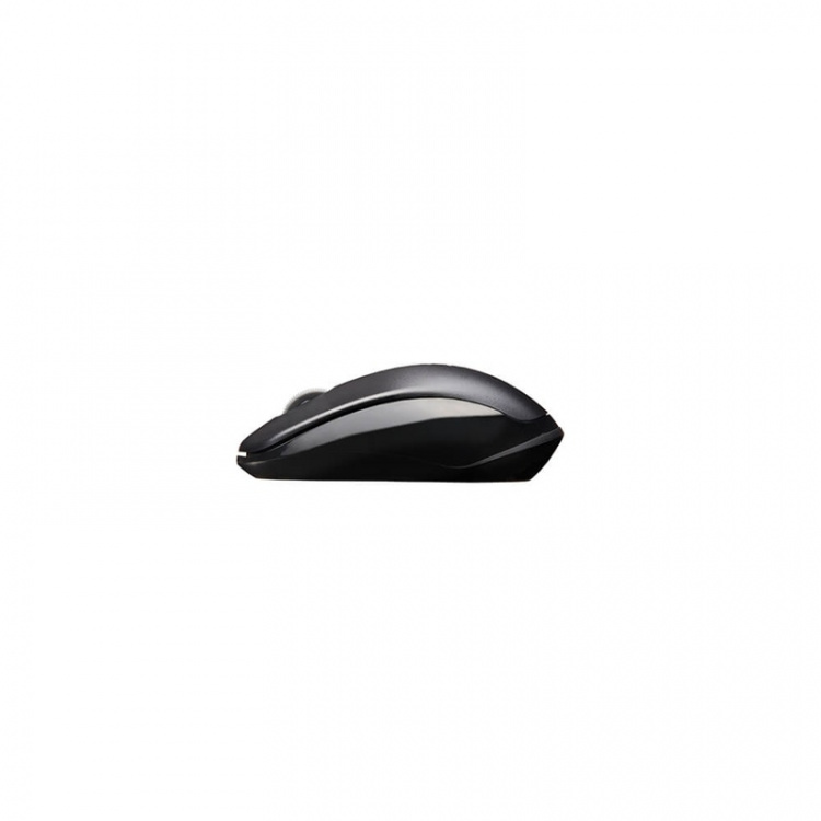 Rapoo Mouse 1620 Wireless 2.4GHz Black