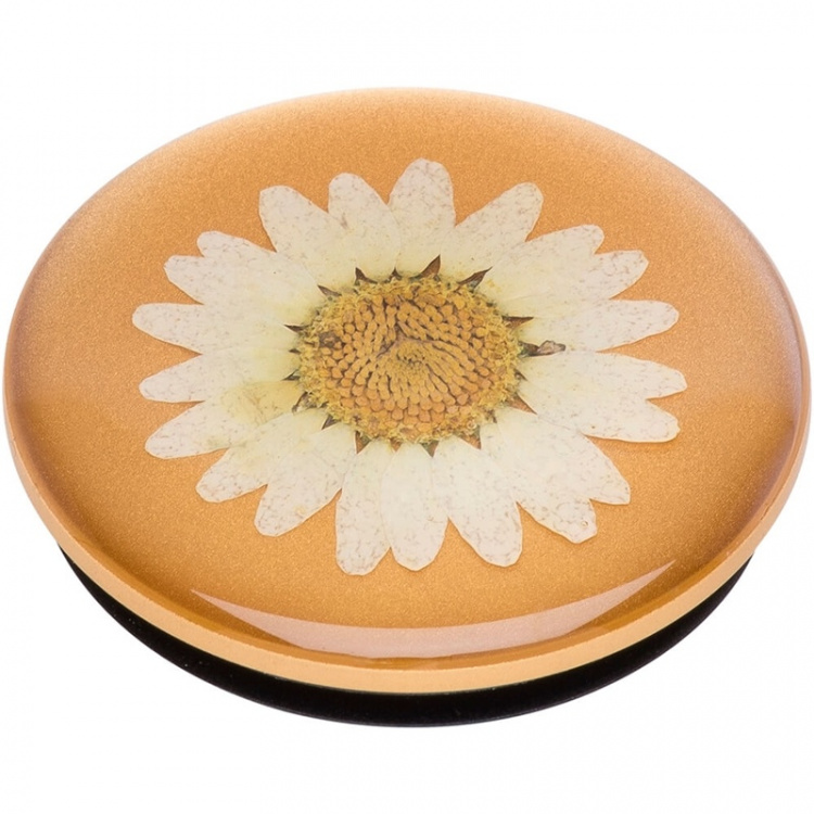 PopSockets PopGrip PREMIUM Pressed Flower White Daisy