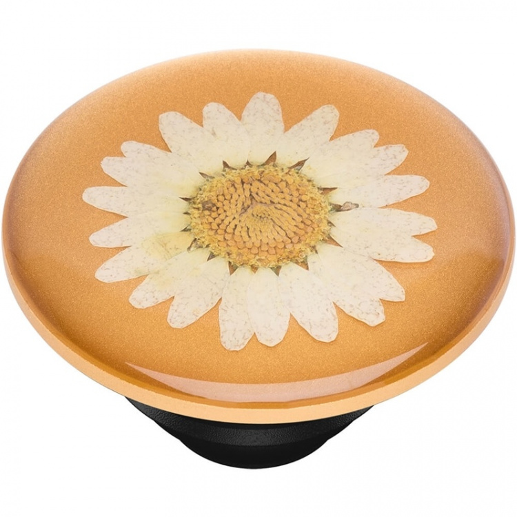 PopSockets PopGrip PREMIUM Pressed Flower White Daisy