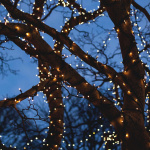 WiFi light chain, 15m, 120 led, adapter,IP44,WW