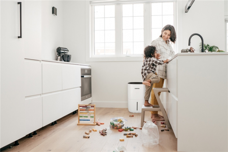 Adam - avfuktare 100m2, 44dB, wifi - Google Home, timer, 2 hastigheter, torkfun