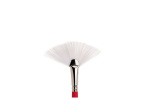 WINSOR University brush series 238 fan size 6