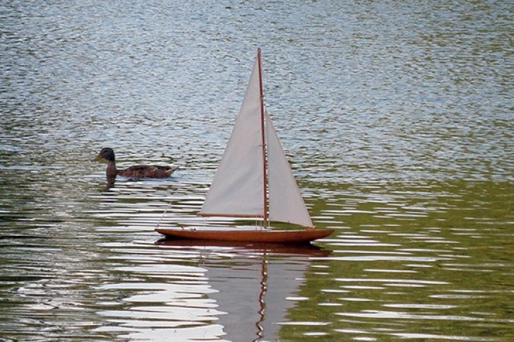 Billing Boats 1:12 Dragen -Wooden hull