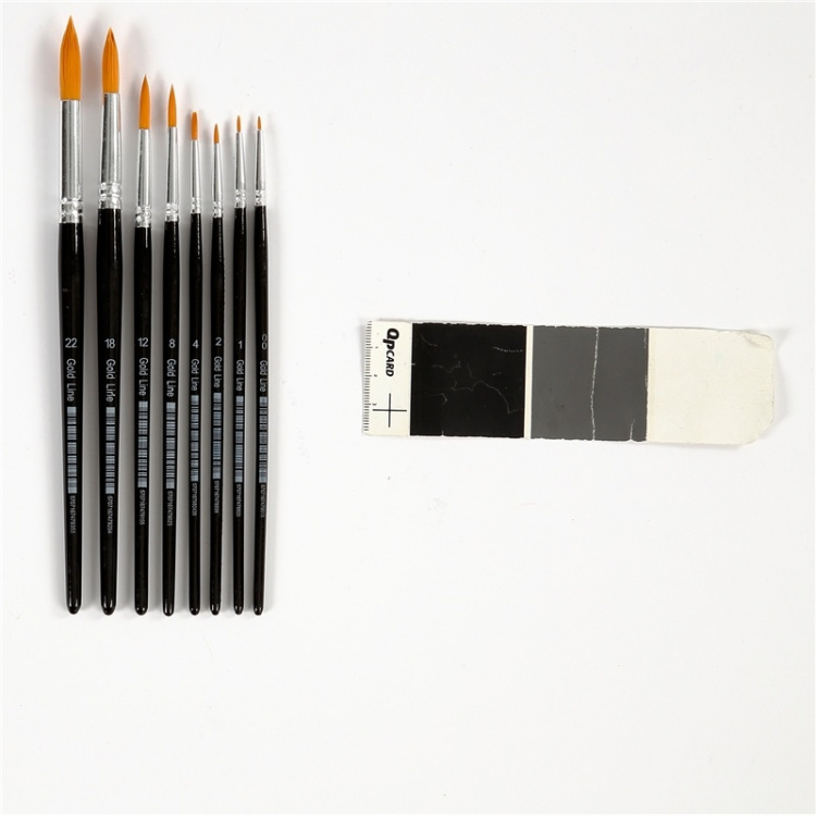 Colortime Gold Line Penslar runda