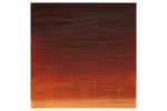 WINSOR Artists oil colour 200ml burnt sienna 074