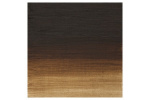 WINSOR Artists oil colour 200ml raw umber 554