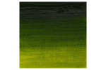 WINSOR Artists oil colour 200ml sap green 599