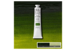 WINSOR Artists oil colour 200ml sap green 599