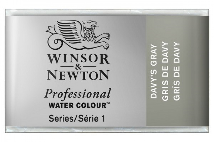 WINSOR Watercolour proff pan Davys Grey 217
