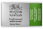 WINSOR Watercolour proff pan Perm Sap Green 503