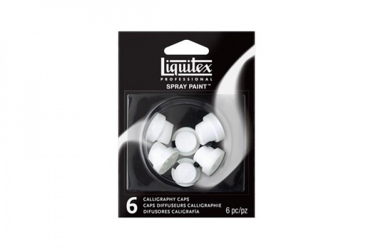 LIQUITEX Dyse 6 x calligraphy