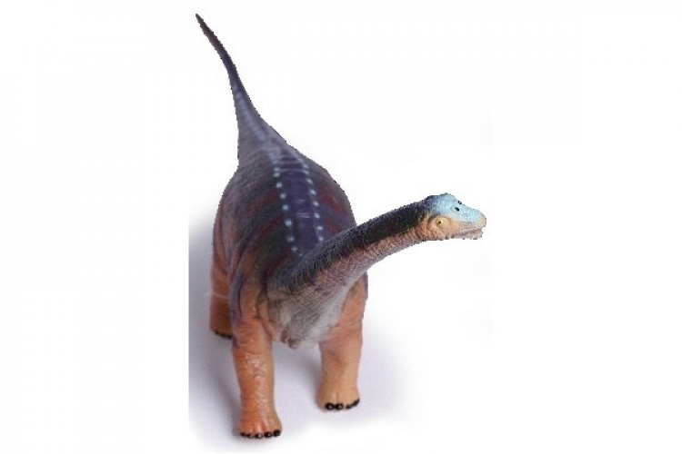 Animal Universe Brachiosaurus 69x17x27cm ass