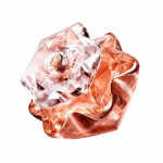 Montblanc Lady Emblem Elixir Edp 75ml