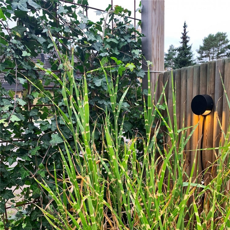 LightsOn Nero Downlight 140lm Ø9cm Svar LightsOn Nero Downlight 140lm Ø9cm Svar