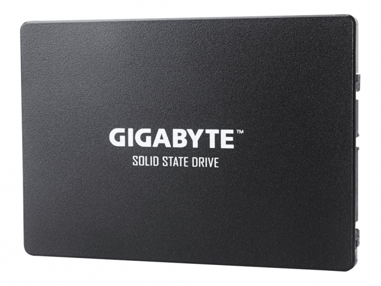 Gigabyte GP-GSTFS31256GTND SSD-hårddisk 2.5