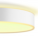 Philips Hue Enrave M Taklampa White Am