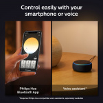 Philips Hue Enrave XL Taklampa White A