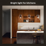 Philips Hue White Ambiance E27 1600lm
