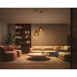 Philips Hue White Ambiance E27 A60 110