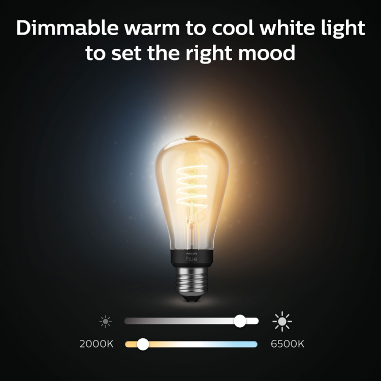 Philips Hue White Ambiance Filament E2