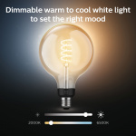 Philips Hue White Ambiance Filament E2