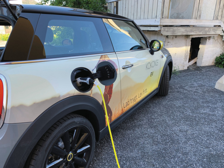 Kokong Ev Zen-oplader, Fjord Pink Kokong Ev Zen-oplader, Fjord Pink