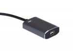 iiglo USB-C Cable Adapter HDMI