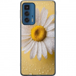 Mobilcover til Motorola Edge 20 Pro med Porcelænsblomst motiv