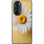 Mobilcover til Motorola Edge 30 Pro med Porcelænsblomst motiv