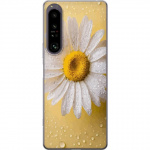 Mobilcover til Sony Xperia 1 IV med Porcelænsblomst motiv
