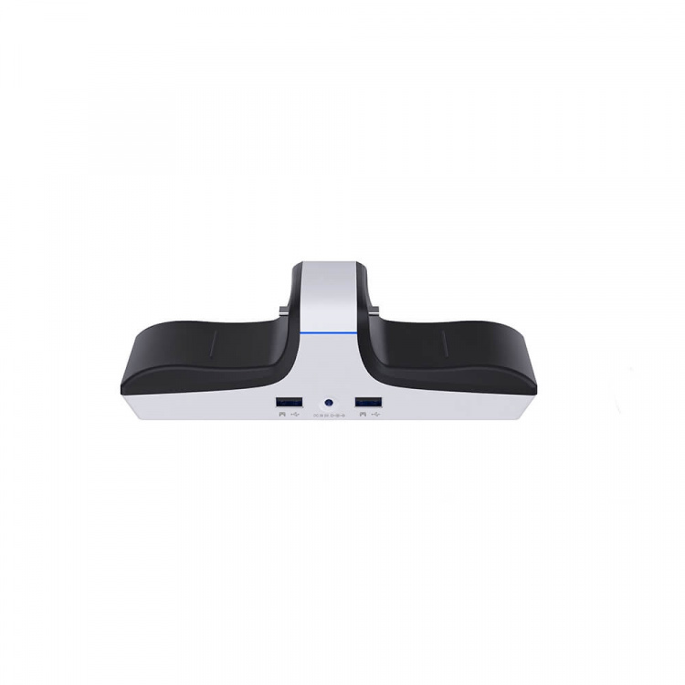 RAPTOR Lader til Controller Dual PS4/PS5