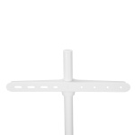 Nedis TV Gulv Stand | 50 - 65 