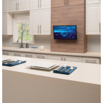 SANUS Vipbart Vægbeslag 19-40