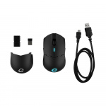 QPAD Gamingmus DX900