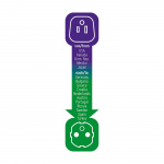 brennenstuhl Rejseadapter USA / Japan-til-Europa Earthed