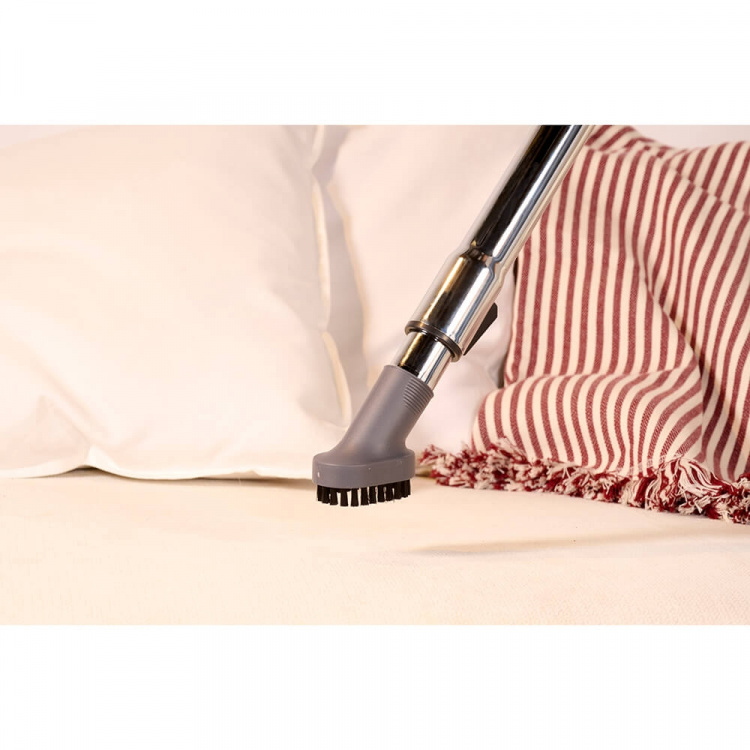 SOLAC Støvsuger Poseløs More Brave 800W