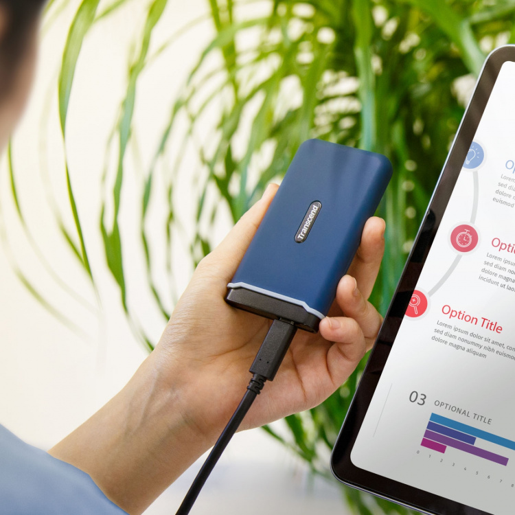 Transcend Portabel SSD ESD370C USB-C 250GB (R1050/W950)