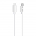 Champion Ladd&Synk kabel USB-C till Lig