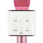 Paw Patrol Karaoke Mic Pink