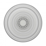 PopSockets PopGrip Plant Faded Stone
