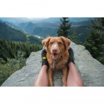 TICKLESS Flåtbeskyttelse Active Grøn TICKLESS Flåtbeskyttelse Active Grøn