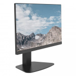 Desire2 Monitorarm Stander Sort