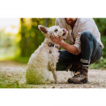 TICKLESS Flåtbeskyttelse ECOPET TICKLESS Flåtbeskyttelse ECOPET