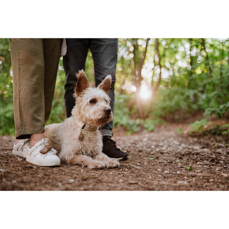 TICKLESS Flåtbeskyttelse ECOPET TICKLESS Flåtbeskyttelse ECOPET